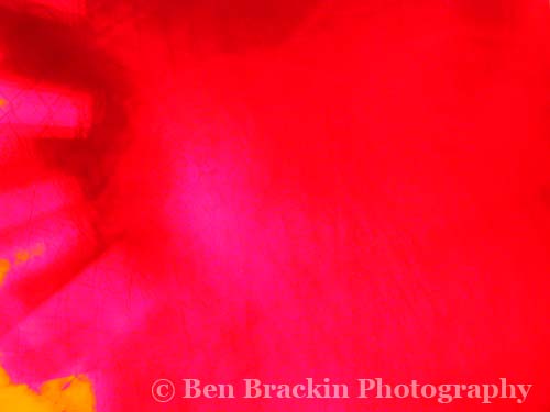 Momentary Glance by Ben Brackin